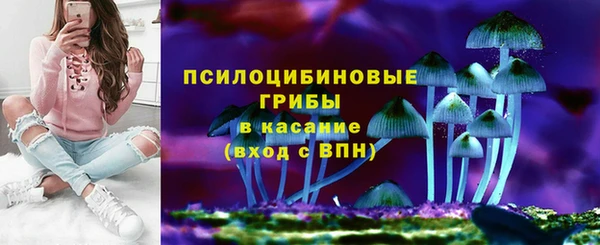 эйфоретик Богородицк