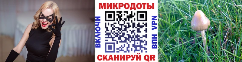 магазин    Горнозаводск  Псилоцибиновые грибы ЛСД 