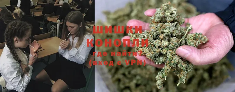 где можно купить   Горнозаводск  omg зеркало  Бошки марихуана SATIVA & INDICA 